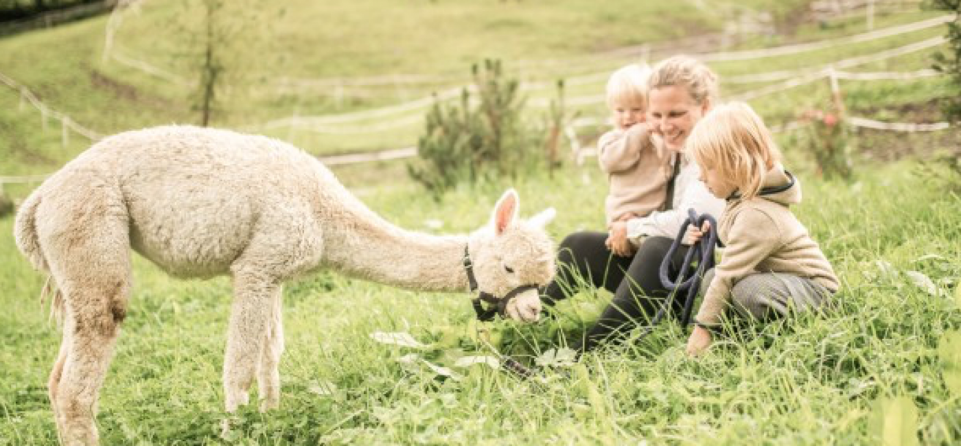 New Farm at Feuerstein Nature Family Resort main image