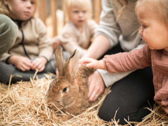 Willkommen auf der neuen Feuerstein Farm Thumbnail