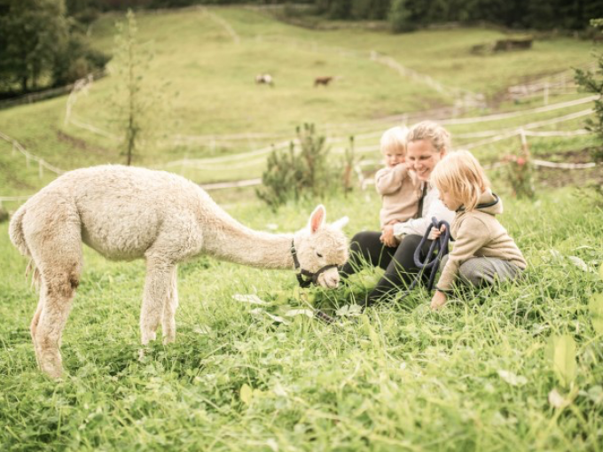 New Farm at Feuerstein Nature Family Resort Thumbnail